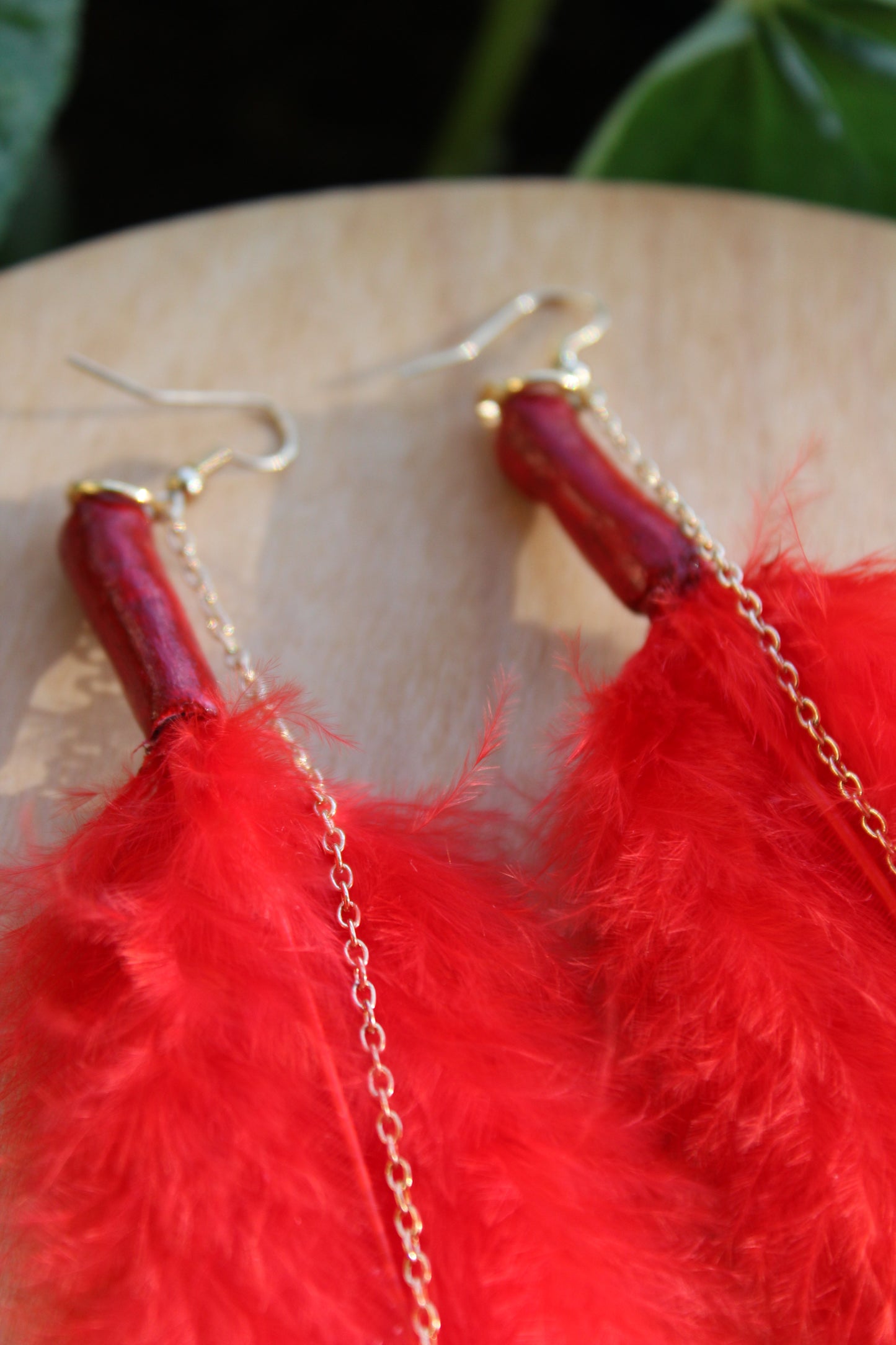 Red Smiley Feathers